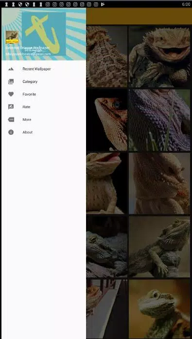 Android向けのひそかなドラゴン爬虫類壁紙 Apkをダウンロードしましょう