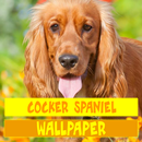 Cocker Spaniel Dog Wallpaper APK