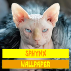 Sphynx Cat Wallpaper-icoon