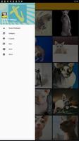 Sphynx Cat Wallpaper screenshot 1