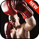 Tips Real Boxing APK