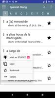 Spanish slang dictionary 포스터