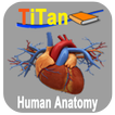 Guide de l'anatomie humaine