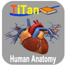 Human Anatomy Guide APK