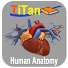 Guide de l'anatomie humaine icône