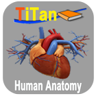 Human Anatomy Guide icon