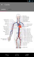 Guide de l'anatomie humaine capture d'écran 3