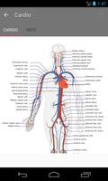 menselijke anatomie gids screenshot 3