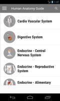 Human Anatomy Guide پوسٹر