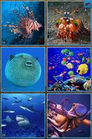 Fish Jigsaw Puzzles 스크린샷 2