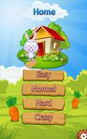 Rabbit Home পোস্টার