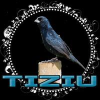 Fêmea De Tiziu Piando Para Esquentar o Macho Plakat