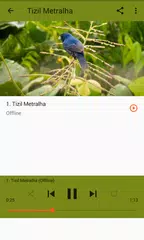 Fêmea De Tiziu Piando Para Esquentar o Macho アプリダウンロード