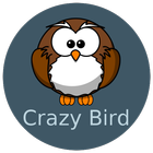Crazy Bird icône