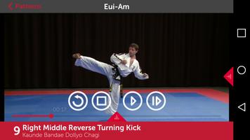 Taekwon-Do ITF Patterns With M پوسٹر