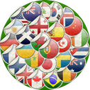 flags camera APK