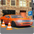 Auto Driving School Parkeren