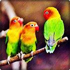 Masteran Lovebird आइकन