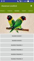 Masteran Lovebird स्क्रीनशॉट 3