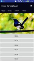 Suara Burung Kacer Juara - MP3 Full Offline পোস্টার
