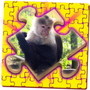 Kids Puzzle Jigsaw - Travel APK