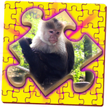 Rompecabezas Simple - Viajes