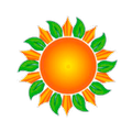 Catimor Solar