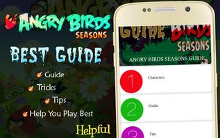 Seasons Guide to Angry Birds Affiche