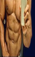عضلات البطن في 30 يوم اسکرین شاٹ 2