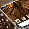 Wild Live Wallpaper APK