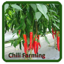 Chili Farming aplikacja