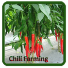 Chili Farming icon