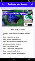 Budidaya Ikan Cupang تصوير الشاشة 3