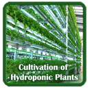 Hydroponic Cultivation aplikacja