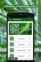 Hydroponic Cultivation 海报