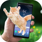 Cute Cat on Screen - Cat Walks in Phone Cute Joke icône