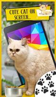 Cute Cat on Screen - Cat Walks in Phone Cute Joke capture d'écran 3