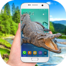 Crocodile on screen - Live wallpaper crocodile APK
