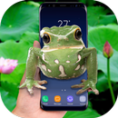 Frog on screen - Live wallpaper 2018 APK
