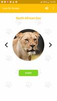 پوستر Lion On Screen