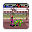 TMNT 2d included hint