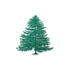Evergreen Share icône