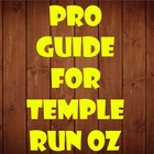 ikon Pro Guide for Temple Run Oz