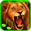 Icona Real Animals Sound