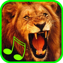 Real Animals Sound APK