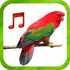 Bird Sounds Ringtones APK download