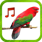 Bird Sounds Ringtones-icoon