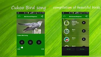 Bird Sounds Ringtones captura de pantalla 1