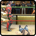 Impact Wrestling Stars VS Raw