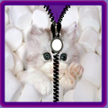 Cute kitty unlock zipper